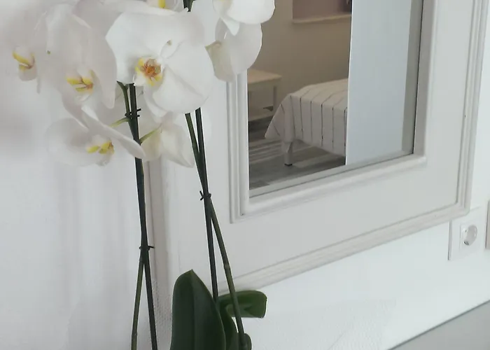 Cyclades Hotel Páros